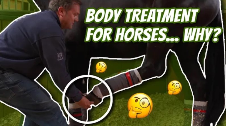 BODY TREATMENT OF HORSES… WHY DO WE DO THIS? (Equestrian Education)