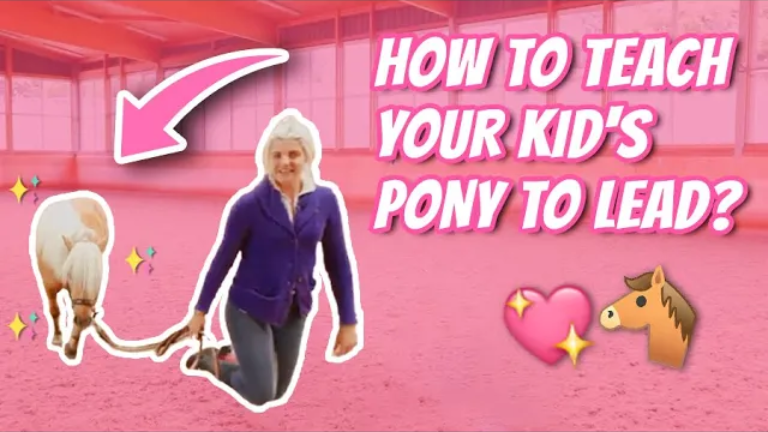 HOW TO TEACH YOUR PONY TO LEAD? – Pony Tales EP 3 | Horse Training | Horse Riding Lessons