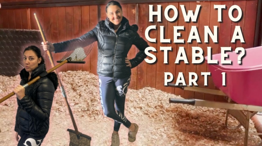 HOW TO CLEAN A STABLE (Part 1) – (Equestrian Education) How To Clean A Horse Stable
