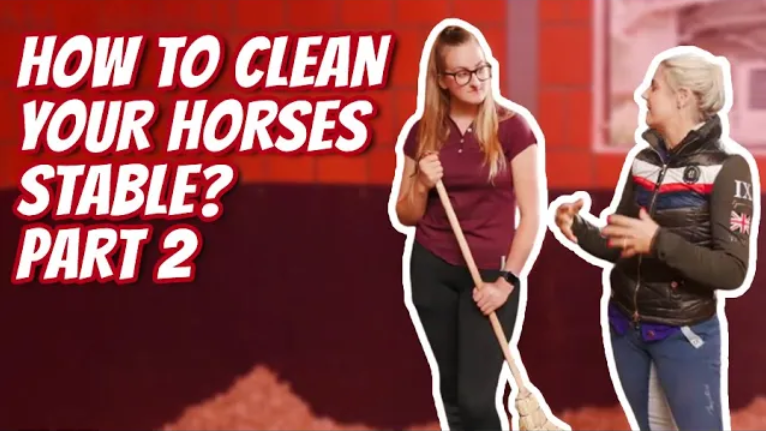 HOW TO CLEAN YOUR HORSES STABLE (Part 2) – (Equestrian Education) How To Clean A Horse Stable