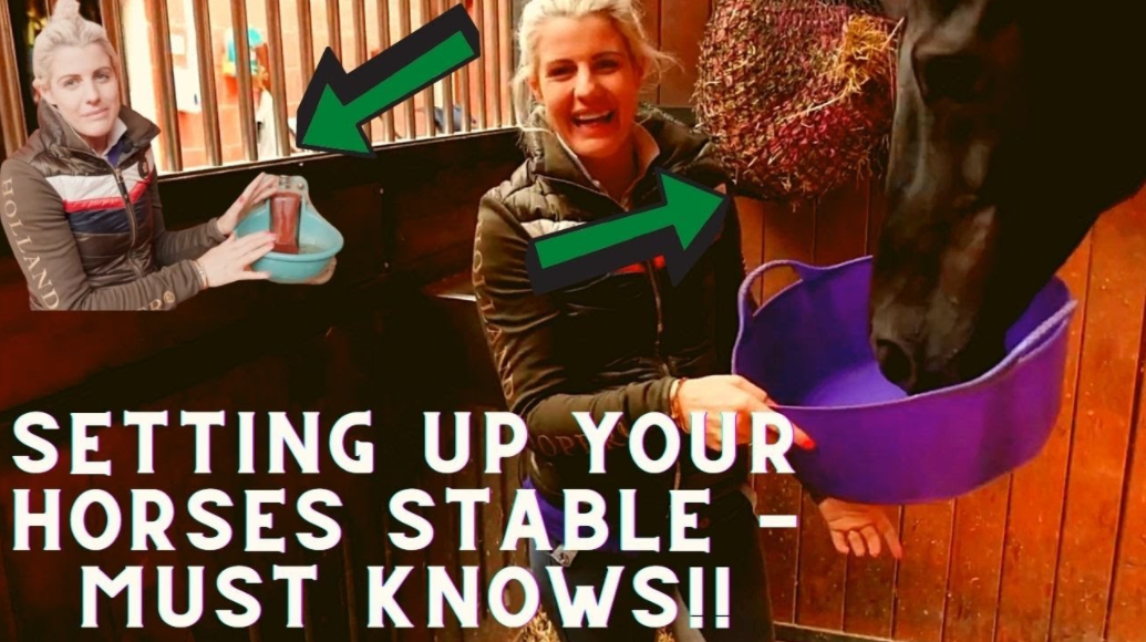 WHAT TO KNOW WHEN SETTING UP YOUR HORSES STABLE (Equestrian Education) How To Set Up A Horse Stable