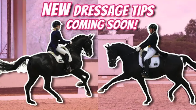 WHAT’S NEW AT DRESSAGE MASTERY – Dressage Mastery TV
