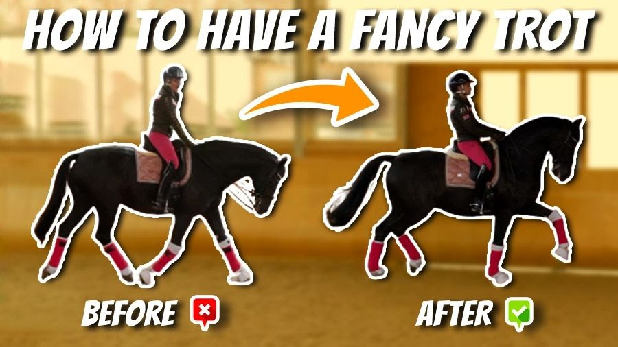 HOW TO HAVE A FANCY TROT – Dressage Mastery TV Episode 334