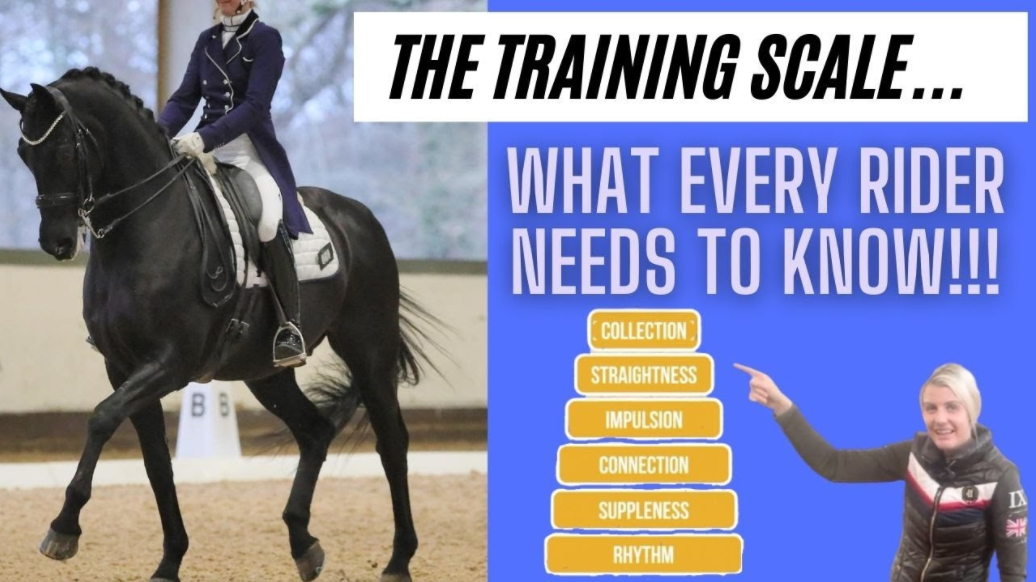SCALES OF TRAINING – 6 WAYS TO SUCCEED IN DRESSAGE – (PART 1)