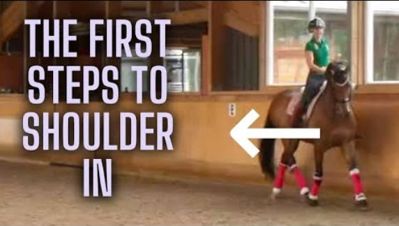 HOW TO START SHOULDER IN  – DMA TV EP 341 | Training & Learning Dressage Movements