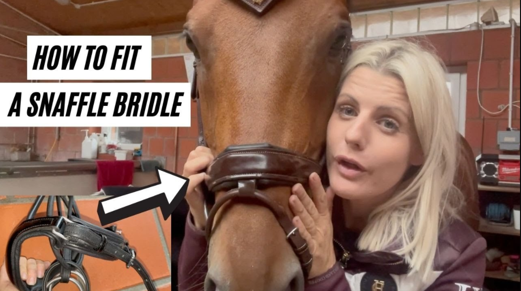 HOW TO CORRECTLY FIT A SNAFFLE BRIDLE – DMA TV EP 340 | Equestrian Must Knows
