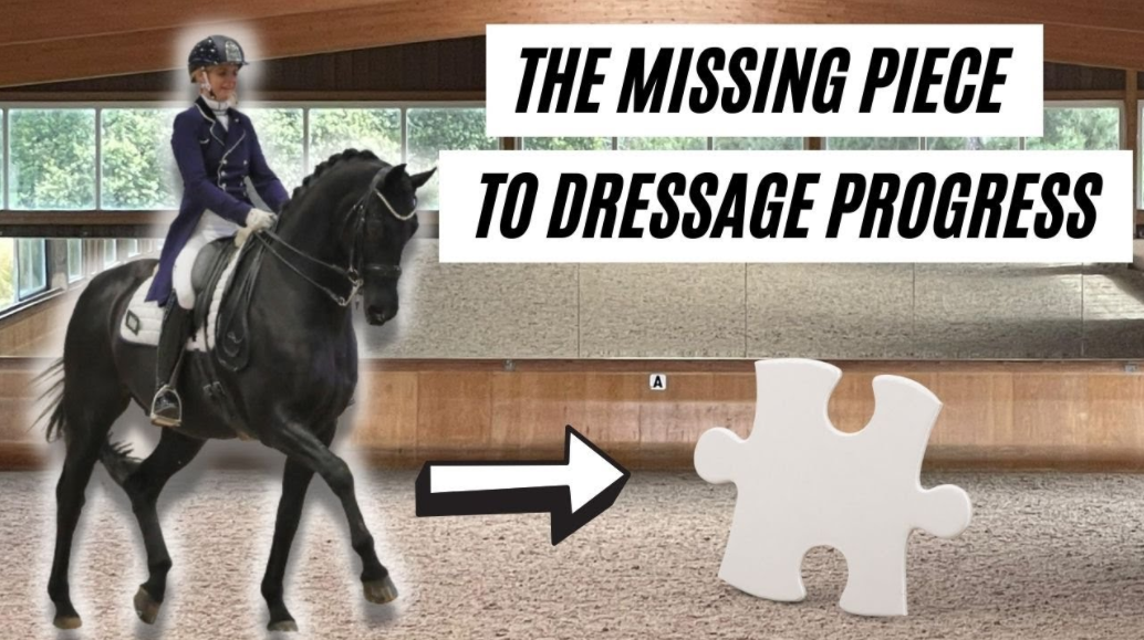 THE MISSING PIECE TO MAKING MASSIVE DRESSAGE PROGRESS –  DMA | DRESSAGE LESSONS MADE EASY