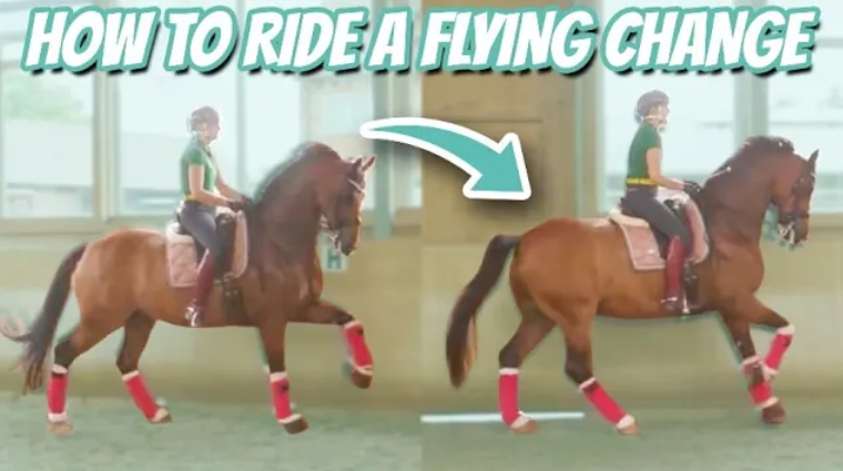HOW TO RIDE A FLYING CHANGE – DMA TV EP 339 | Training and Learning Dressage Movements