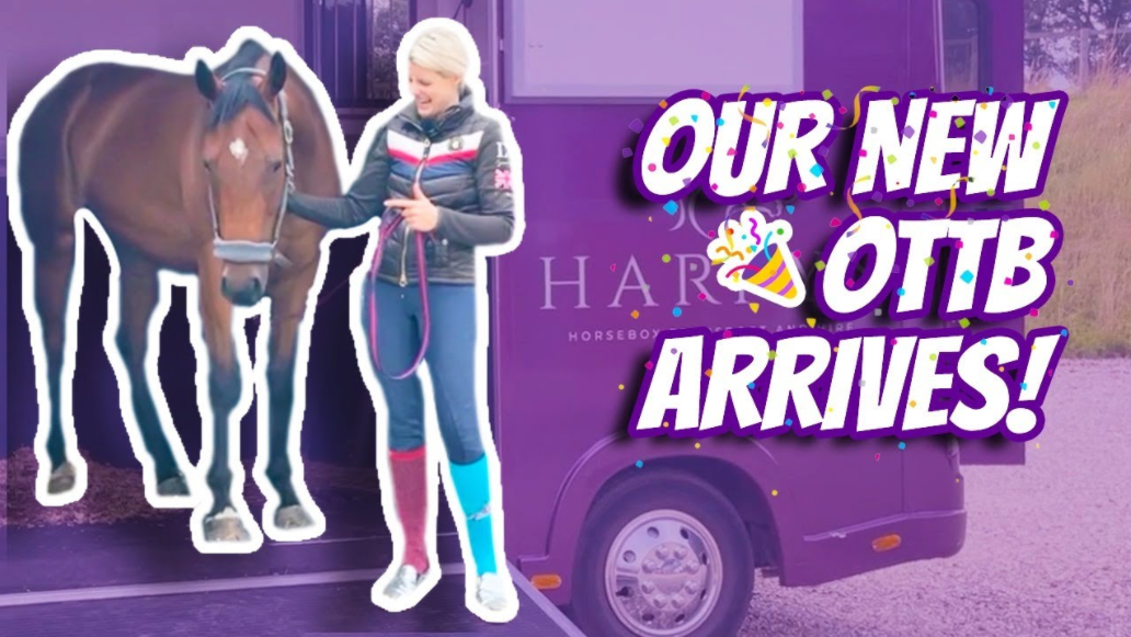 HOW TO CALM DOWN YOUR EX-RACEHORSE – (Thoroughbred Horses) OTTB Series