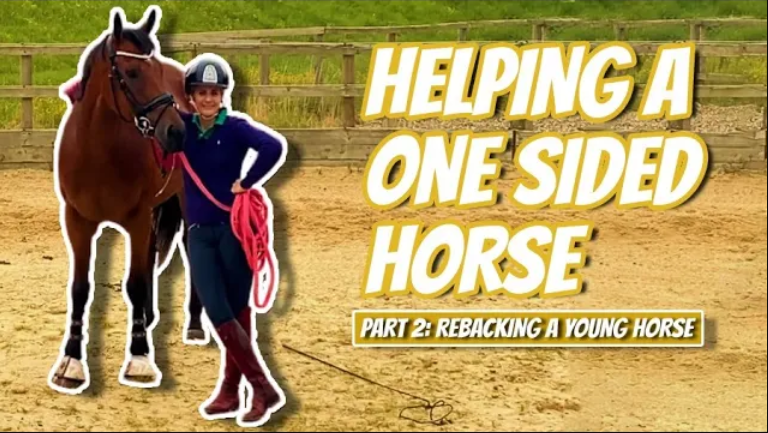 OTTB NEW HORSE GROUND WORK – A MUST DO BEFORE YOU GET ON – (Thoroughbred Horses)
