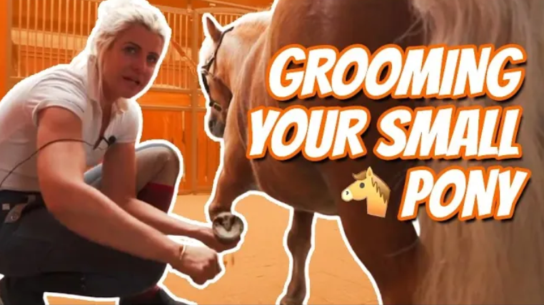 HOW TO GROOM AND LOOK AFTER YOUR SMALL PONY – Pony Tales EP 5 | Cute Family Pony | Pony Training