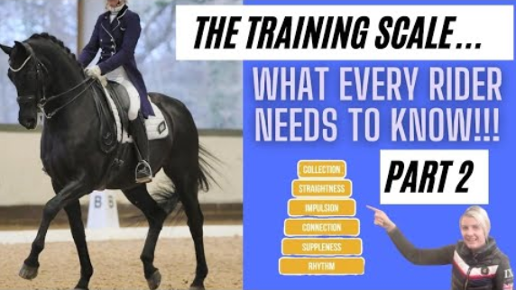 SCALES OF TRAINING – 6 WAYS TO SUCCEED IN DRESSAGE –  (PART 2)