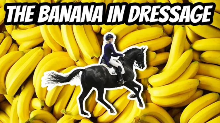 HOW TO SIT PERFECTLY ON YOUR HORSE (Where Should You Sit?) – Equestrian Must-Knows
