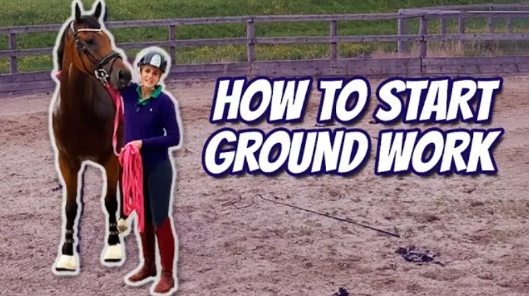 WHAT TO DO BEFORE YOU RIDE YOUR NEW HORSE – (Thoroughbred Horses) OTTB Series