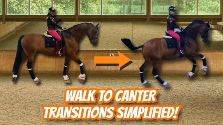 HOW TO RIDE WALK TO CANTER TRANSITIONS – AIDS & PREPARATIONS
