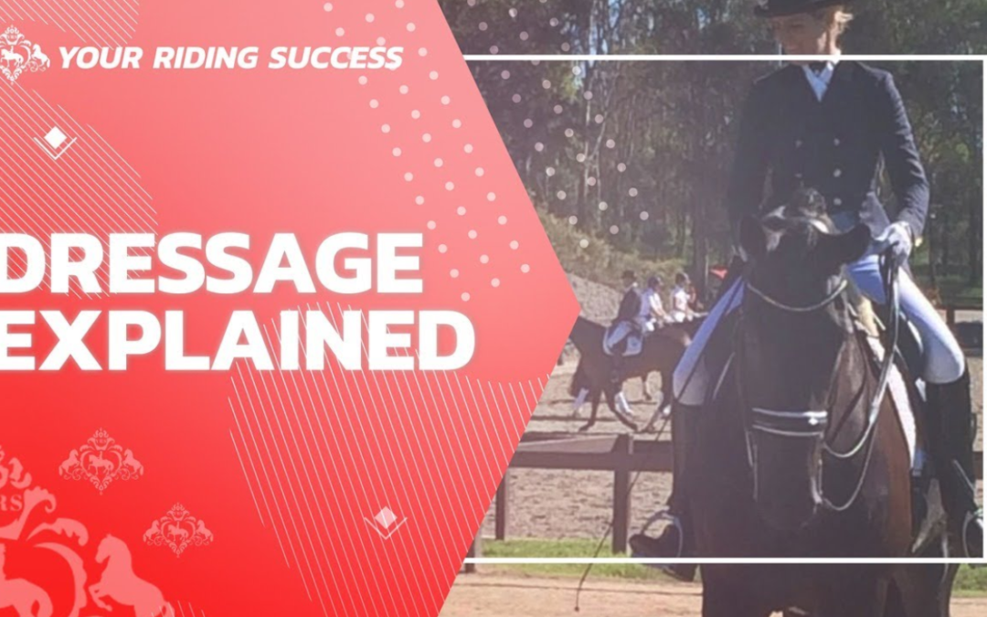 DRESSAGE EXPLAINED PART 5 – Your Questions Answered by a Grand Prix Dressage Rider