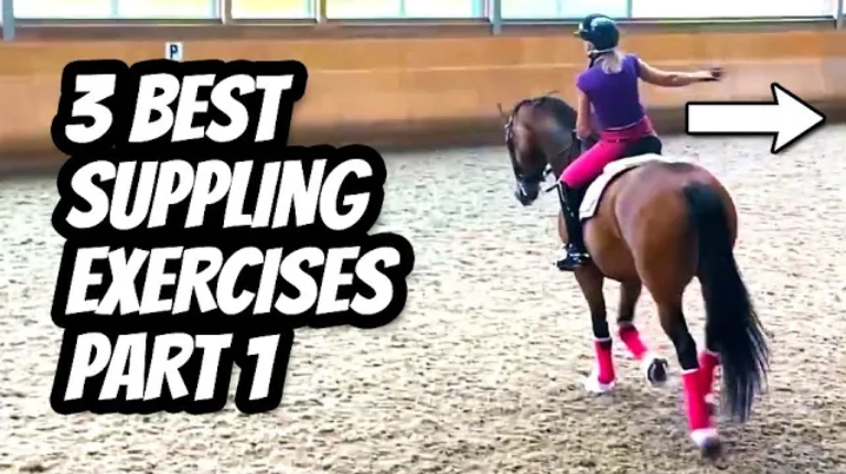3 SIMPLE EXERCISES TO MAKE YOUR HORSE MORE SUPPLE | PART 1