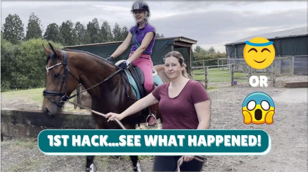 SAFELY HACKING YOUR HORSE (1st TIME OUT) – PART 2 (Thoroughbred Horses) OTTB Series