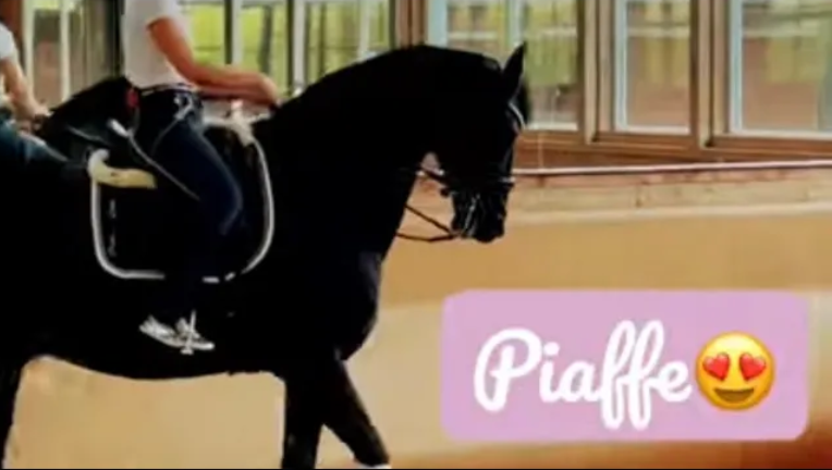 PIAFFE ON MY 18yo HORSE ❤️😍