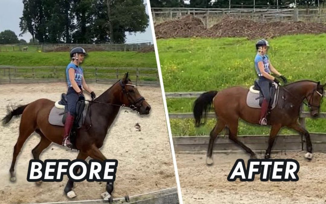 HOW TO GET YOUR HORSE SOFTER IN THE BRIDLE – (Thoroughbred Horses) OTTB Series