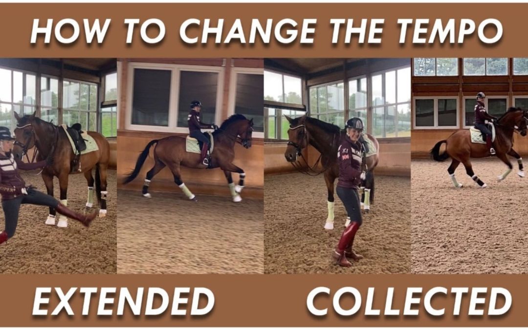 BASICS  FOR CHANGING THE CANTER TEMPO | DMA TV EP 344
