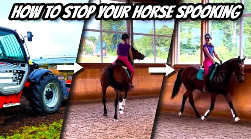 HOW TO STOP YOUR HORSE SPOOKING – (Thoroughbred Horses) OTTB Series