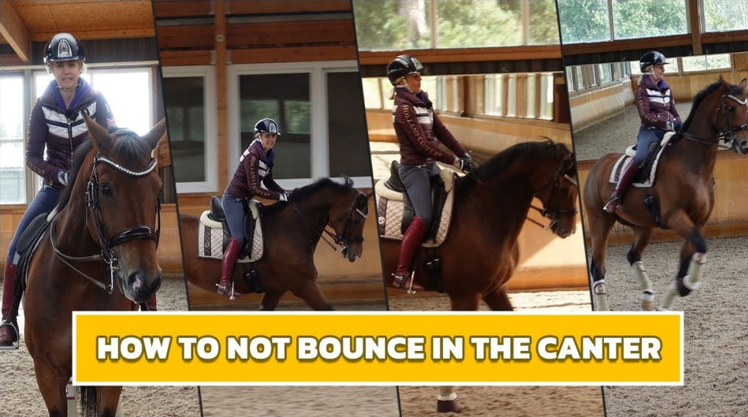 4 STEPS TO NEVER BOUNCE IN THE CANTER AGAIN! How To Stop Bouncing In Canter
