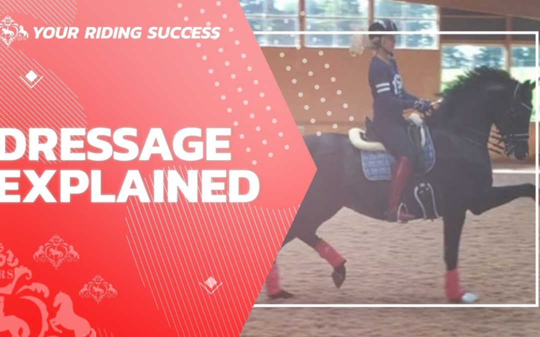 DRESSAGE EXPLAINED | Part 9 | Q&A from a Grand Prix Rider | 🥳 PLUS Over $500 worth of giveaways!