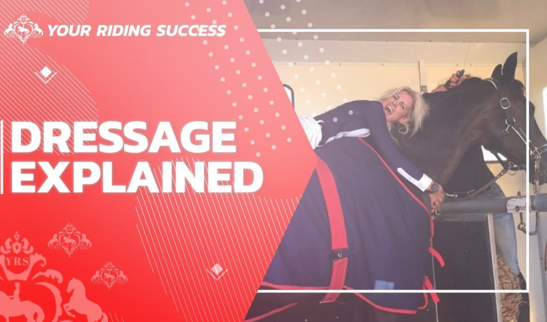 DRESSAGE EXPLAINED | Part 8 | Q&A from a Grand Prix Rider | 🥳PLUS PRIZE WINNER ANNOUNCED!📣