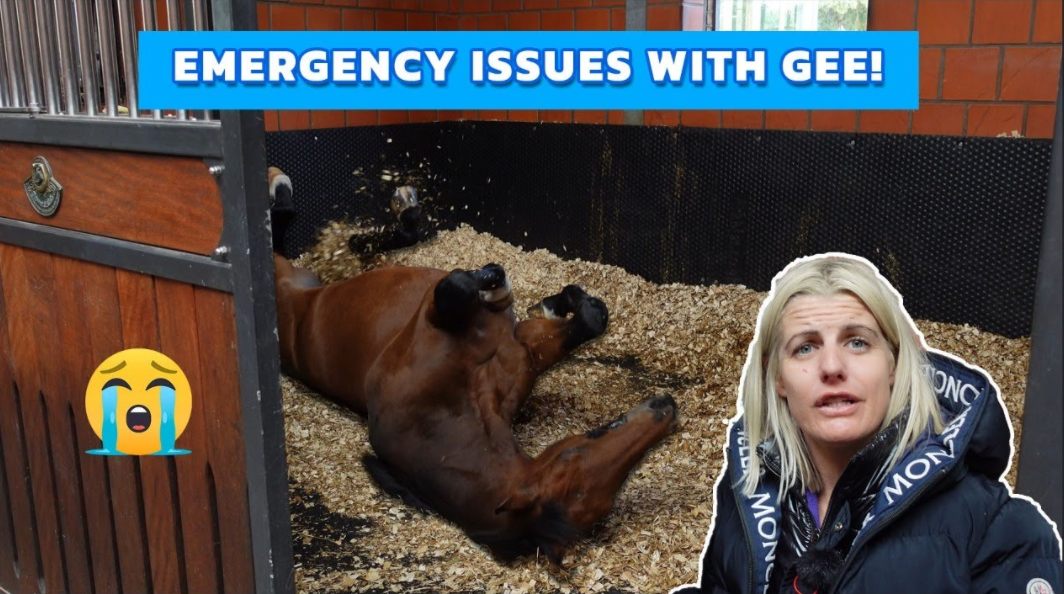 5 MUST DO’S WITH A SICK HORSE | Save on Vet Bills | Save Your Horse From Infection or Colic