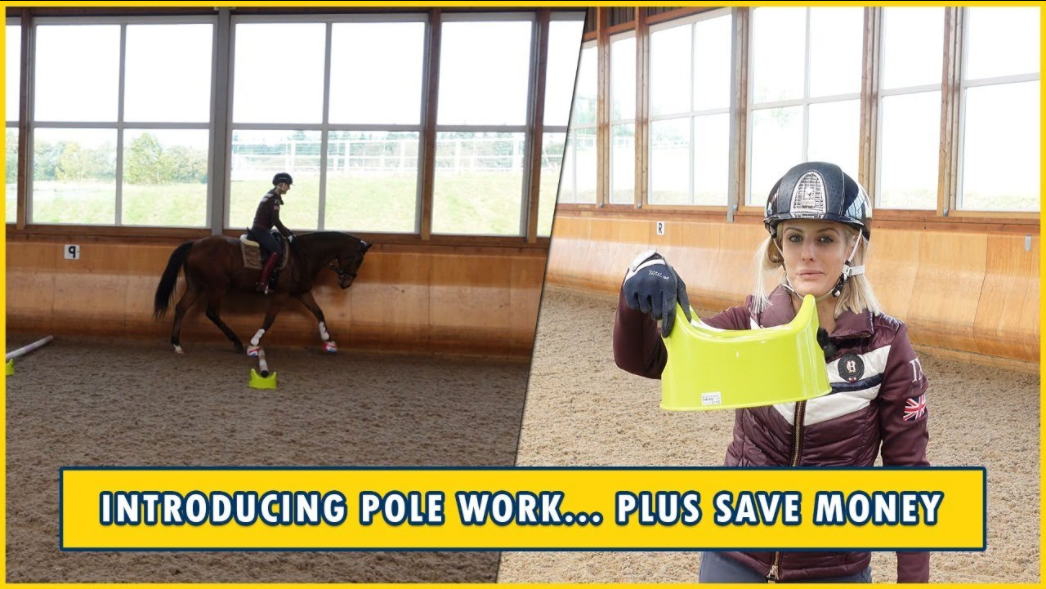 HOW TO START POLE WORK WITH YOUR OTTB | 8 weeks into training our 4yo| & SAVE MONEY ON EQUIPMENT!