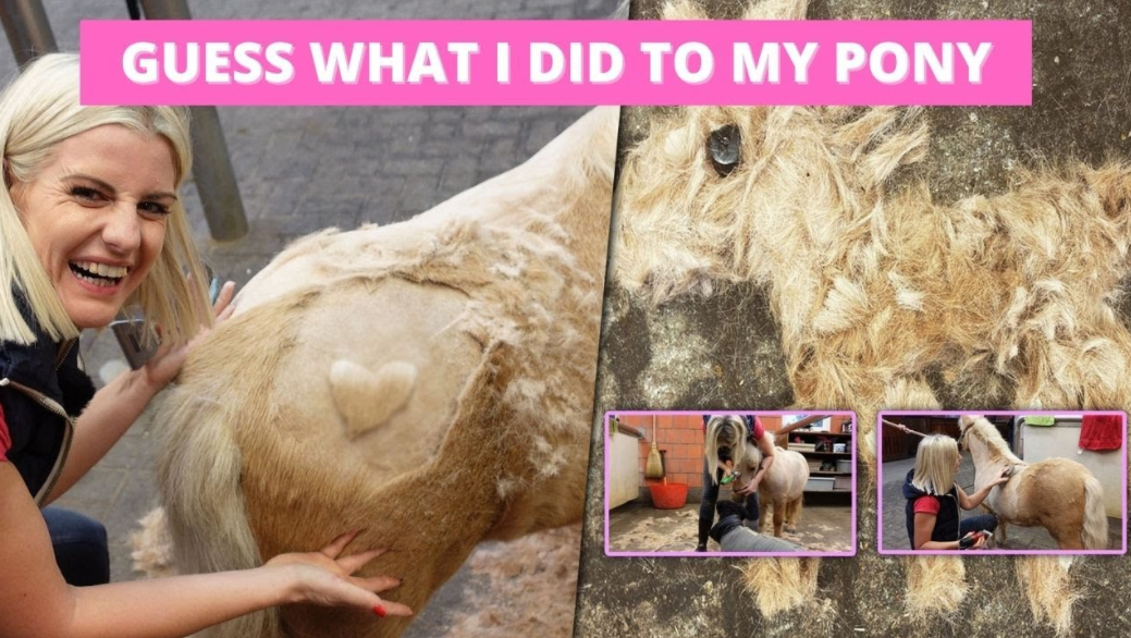 HOW TO CLIP A HORSE FROM START TO FINISH! | PONYTAILS EPISODE 9 | Horse Clipping