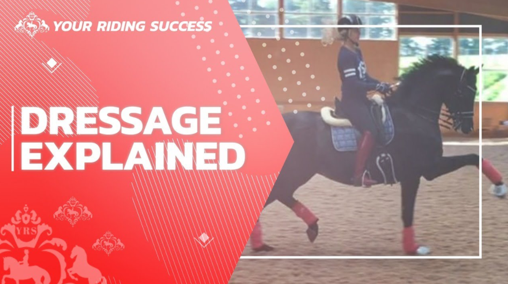 DRESSAGE EXPLAINED | Part 11 | Q&A from a Grand Prix Rider