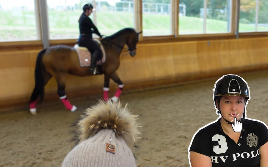 FIND A LAZY HORSES “GO” BUTTON! 🥳Thursday 6pm UK time🥳 “Mistakes Beginner Riders Make” Series!