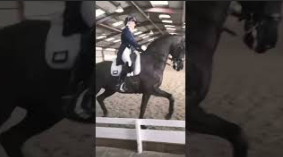 HUGE EXTENDED TROT – Wessel and Alicia, he was still 17yo in this video!