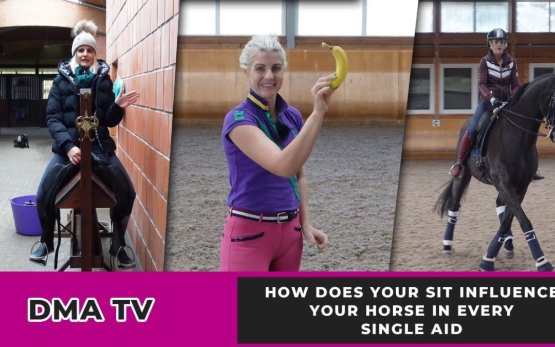 GET YOUR HORSE TO LISTEN TO YOUR AIDS! (Exactly Where To Sit) Horse Riding Lessons