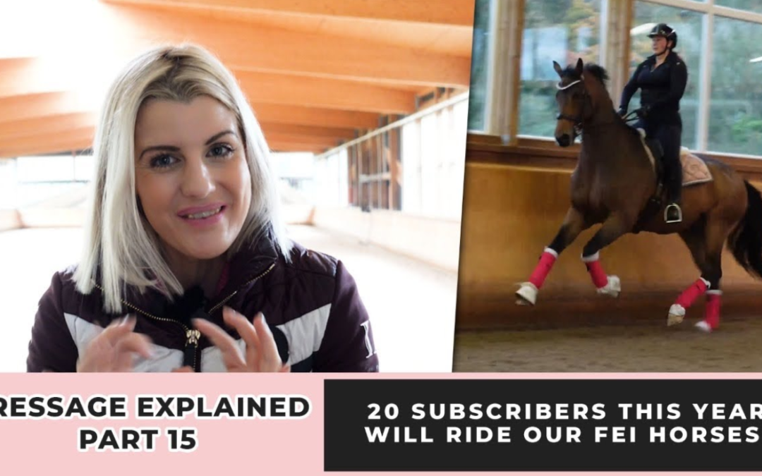 20 SUBSCRIBERS TO RIDE OUR FEI TRAINED HORSES IN 2022!