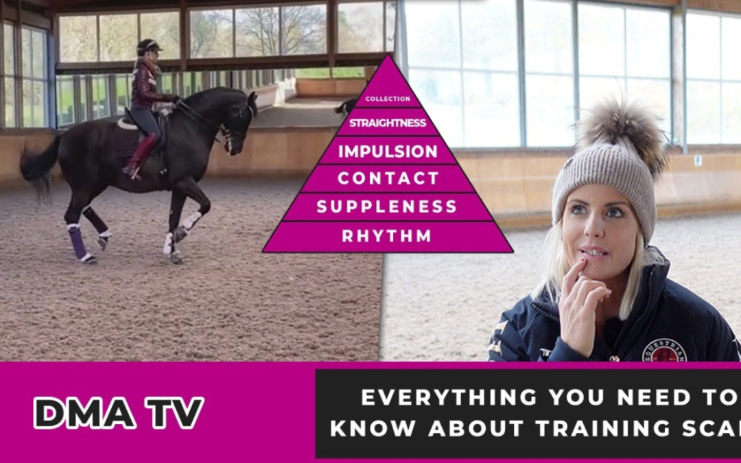 HOW TO GO UP THE DRESSAGE LEVELS FAST | All You Need To Know Is Here | (GO UP ONE LEVEL A YEAR!)
