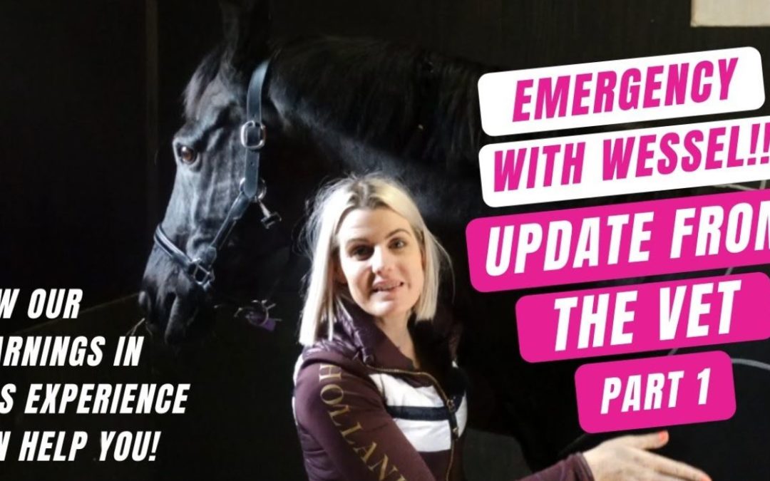 EMERGENCY VET VISIT WITH MY GRAND PRIX HORSE !! | Part 1 | How To Be Prepared For An Emergency 🚨