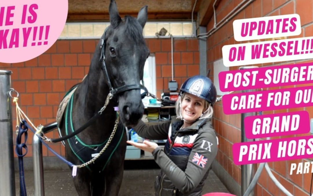 POST-SURGERY CARE FOR OUR GRAND PRIX HORSE | Wessel update| Part 2