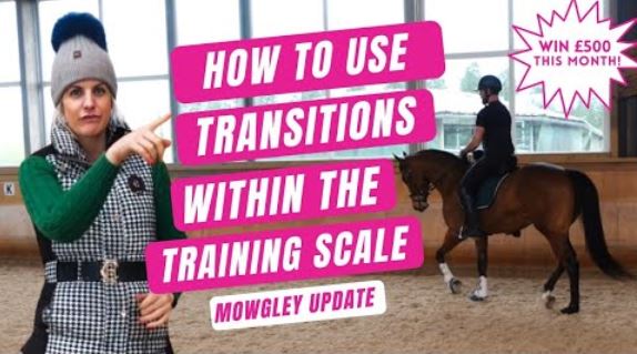 HOW TO TRAIN YOUR HORSE WITHOUT PRESSURE | Use Transitions to help your horses way of going