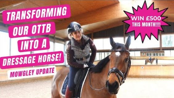 IMPROVING THE PACES | OTT UNDER SADDLE | Part 2