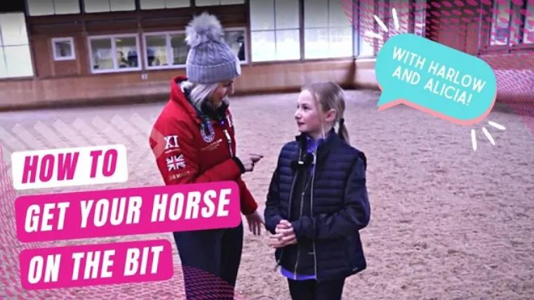 HOW TO GET YOUR HORSE ON THE BIT| One simple thing you can do to improve you contact!