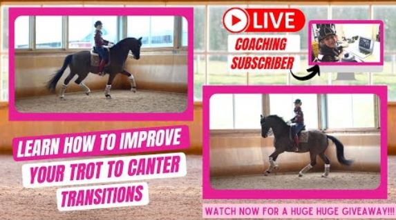 TROT CANTER TRANSITIONS – What Every Rider Must Know!!