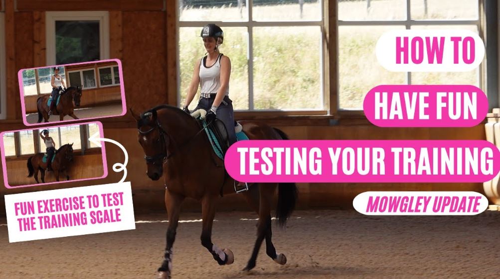 OTTB TRANSFORMATION| Exercises to test your training