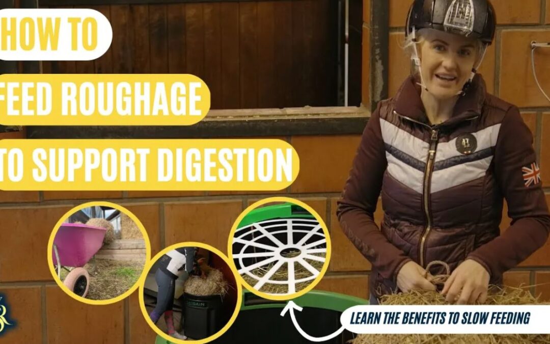 How To Feed Roughage To Support Digestion