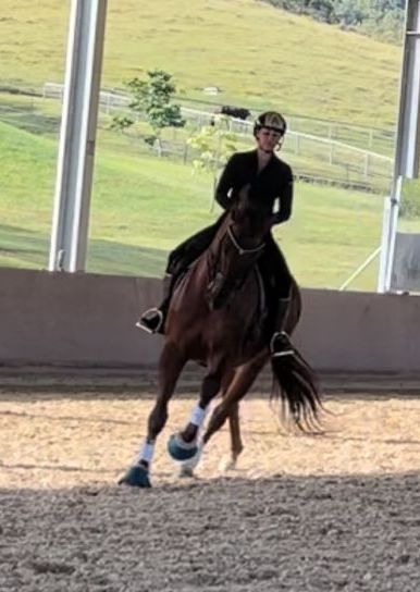 Flo warm up canter image 31 March