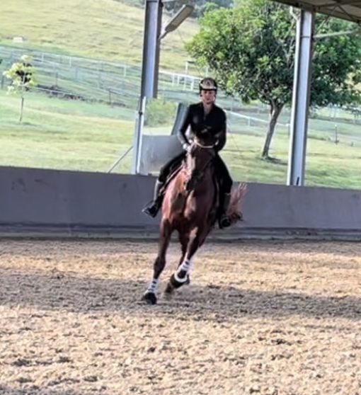 Jive warm up canter image 31 march 01