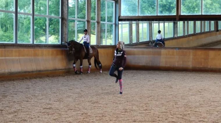 Dressage Horse Training | Canter
