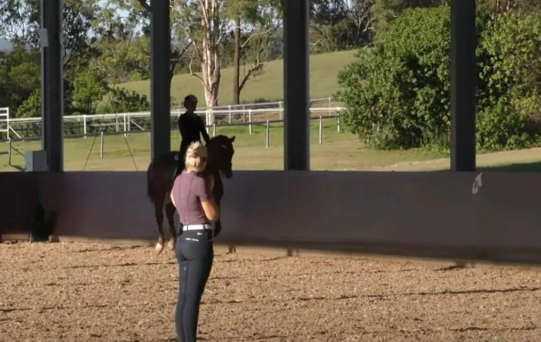 Mastering Flying Changes: Steps To Improve Your Canter Quality